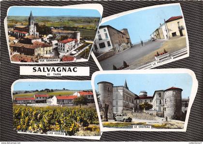 81-SALVAGNAC- MULTIVUES