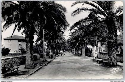 51191822 - Sanary-sur-Mer