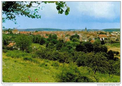 Sarre-Union  vue générale