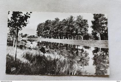 Cpsm 1962, Saujon, les bords de la Seudre, Charente Maritime 17