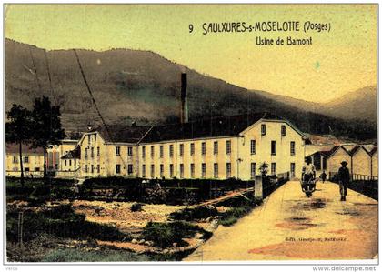 Carte Postale Ancienne de SAULXURES sur MOSELOTTE