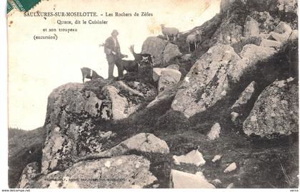 Carte postale ancienne de  SAULXURES sur MOSELOTTE