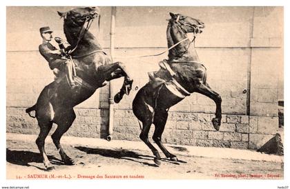 Saumur  - Dressage