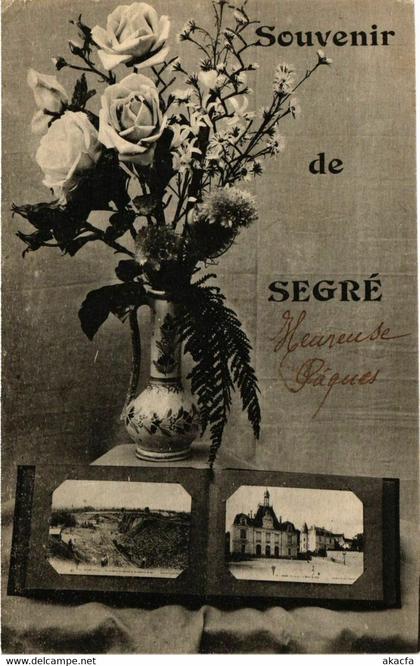 CPA Souvenir de SEGRÉ (864535)