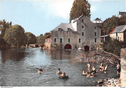 ¤¤  -   SEICHES-sur-le-LOIR   -  Le Loir à Matheflon   -  ¤¤