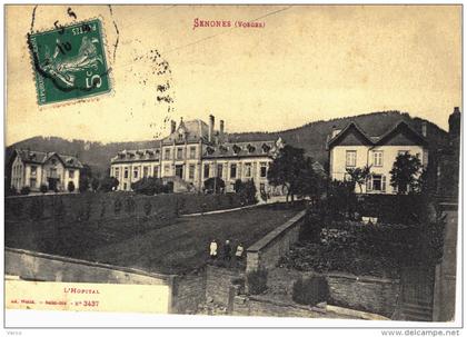 Carte Postale Ancienne de SENONES