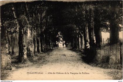 CPA FEILLENS - Allée du Chateau de la Marquise (89321)