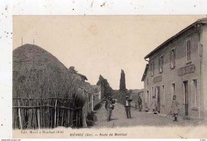 NIEVROZ ROUTE DE MONTLUEL