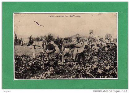 SOMMIERES --  Les Vendanges