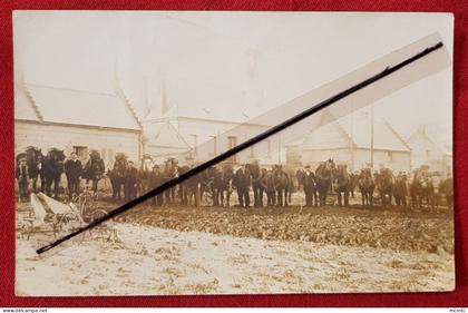 Carte photo - Songeons à Confirmer (Concours Agricole Juin 1907) Chevaux