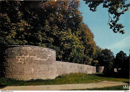 17 - Surgères - Les douves faisant partie de l'enceinte du château des Comtes de Surgères - CPM - Voir Scans Recto-Verso