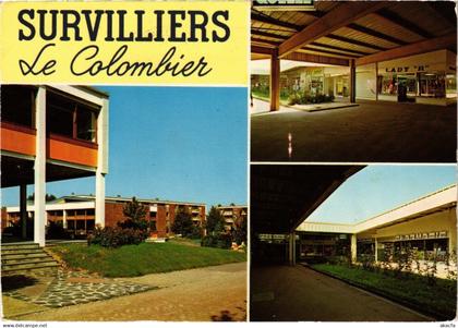 CPM Survilliers Le Colombier FRANCE (1332291)