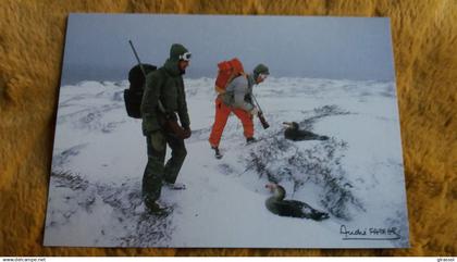 CPM TAAF TERRES AUSTRALES ET ANTARCTIQUES DE FRANCAISES RENCONTRE AVEC LES PETRELS GEANTS SUBANTARCTIQUES KERGUELEN