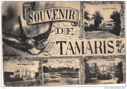 Carte Postale Ancienne de TAMARIS