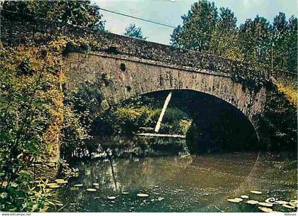 49 - Thouarcé - Pont sur le Layon - Vieilles pierres - CPM - Voir Scans Recto-Verso