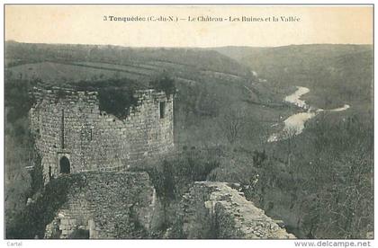 22 - TONQUEDEC - Le Château - Les Ruines et la Vallée (n° 3)