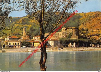 Le Château féodal - Tournon - (7) Ardèche