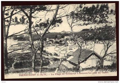 Cpa du 22 Trebeurden  La Plage du Tresmeur à travers les pins du Castel  BR9