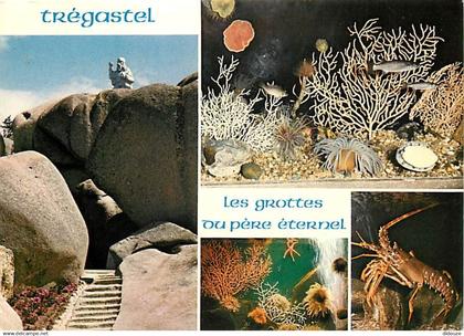 22 - Trégastel - Les Grottes du Père Eternel - Multivues - Flamme Postale de Trégastel - CPM - Voir Scans Recto-Verso