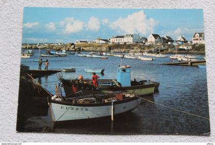 Cpm, le petit port de pêche de Trevignon en Tregunc, Finistère 29