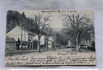 Cpa 1903 Uriage les bains, avenue de Vizille, Isère 38