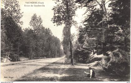 Carte Postale ancienne de  VAUMOISE, Route de Gondreville