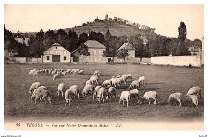 Vesoul - Vue sur Notre Dame de la Motte