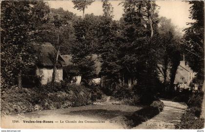 CPA VEULES-les-ROSES - Le Chemin des Cressonnieres (105691)