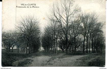 CPA - Carte Postale - France - Vic le Comte - Promenade de la Molière ( MO18068)