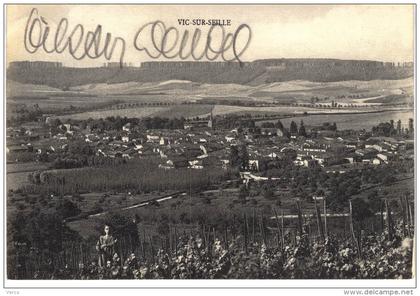 Carte Postale Ancienne de VIC sur SEILLE