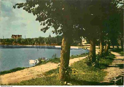 91 - Vigneux sur Seine - Le lac bleu - Cygnes - CPM - Voir Scans Recto-Verso