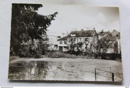 Cpm 1967, Villaines la Juhel, l'étang du petit moulin, Mayenne 53