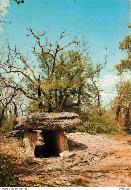 12 - Villefranche de Rouergue - Un Dolmen - CPM - Voir Scans Recto-Verso