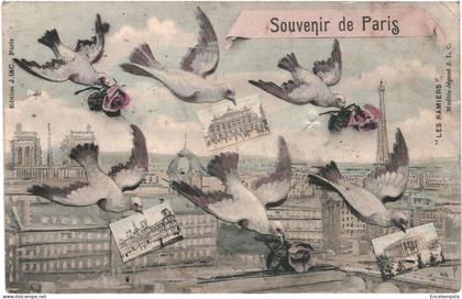 CPA Carte Postale  France Paris Souvenir Pigeons multi vues 1907  VM79107