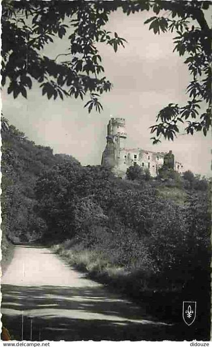 63 - Volvic - Le Château de Tournoel - CPM - Voir Scans Recto-Verso