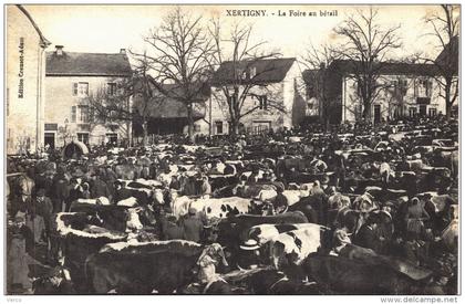 Carte Postale Ancienne de XERTIGNY