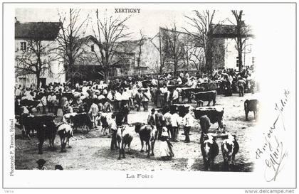 Carte Postale Ancienne de XERTIGNY