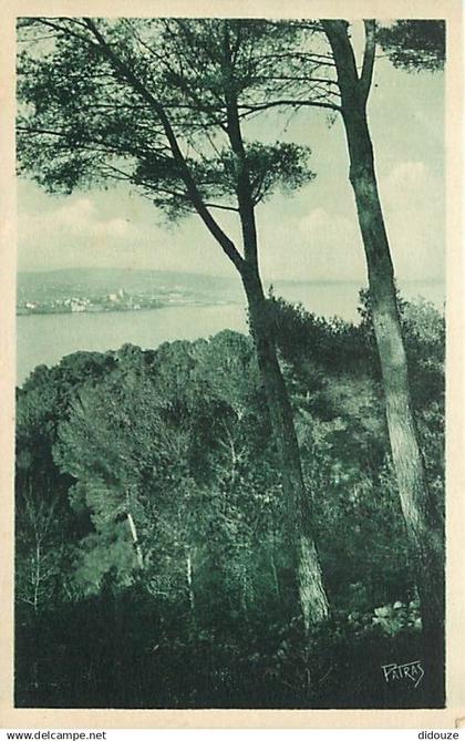 06 - Antibes - Les Remparts - Les vieux remparts vus du cap - CPA - Carte Neuve - Voir Scans Recto-Verso