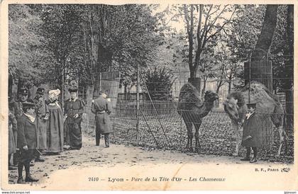 LYON - 6° ARR - PARC DE LA TETE D'OR - LES CHAMEAUX