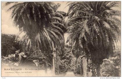 FORT-DE-FRANCE UN JARDIN AUX ANTILLES