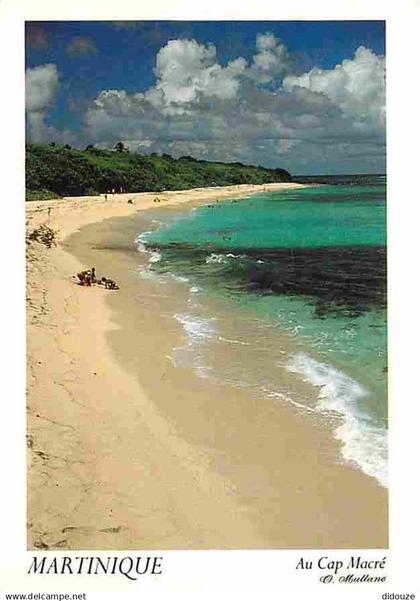 Martinique - Le Marin - Plage du Cap Macré - CPM - Voir Scans Recto-Verso