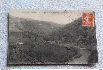 Cpa 1918, la vallée de Tréboul près Pierrefort, Cantal 15