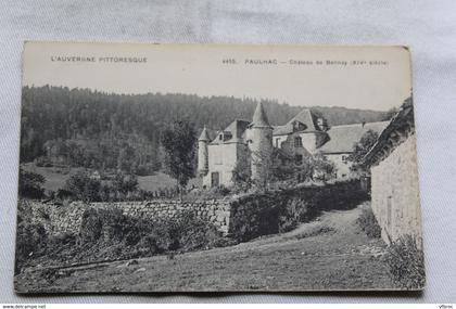 Paulhac, château de Belinay, Cantal 15