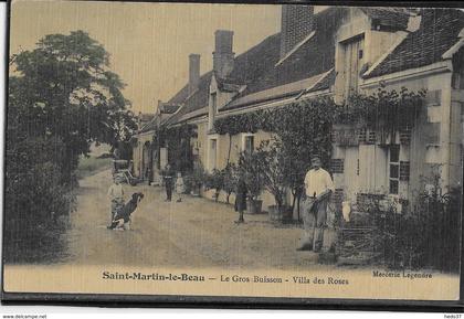 Saint Martin le Beau - Le Gros Buisson - Villa des Roses