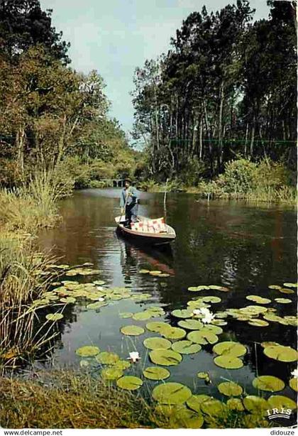 40 - Landes - Courant des Landes - CPM - Voir Scans Recto-Verso