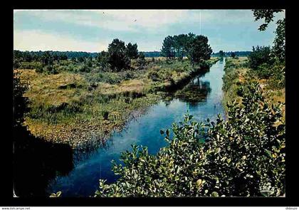 40 - Landes - Courant des Landes - CPM - Voir Scans Recto-Verso