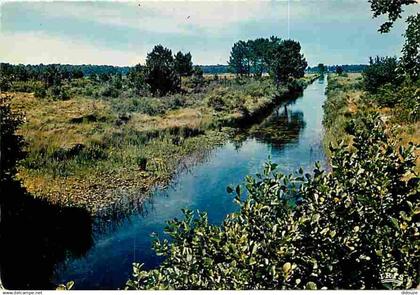 40 - Landes - Courant des Landes - CPM - Voir Scans Recto-Verso