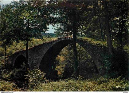 42 - Saint Marcellin - Pont du Diable - CPM - Voir Scans Recto-Verso