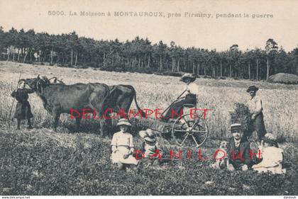 43 // La moisson a MONTAUROUX -  près Firminy - Pendant la guerre  5000  / Montauroux St Férreol d Auroure