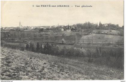 La Ferté-sur-Amance - Vue générale